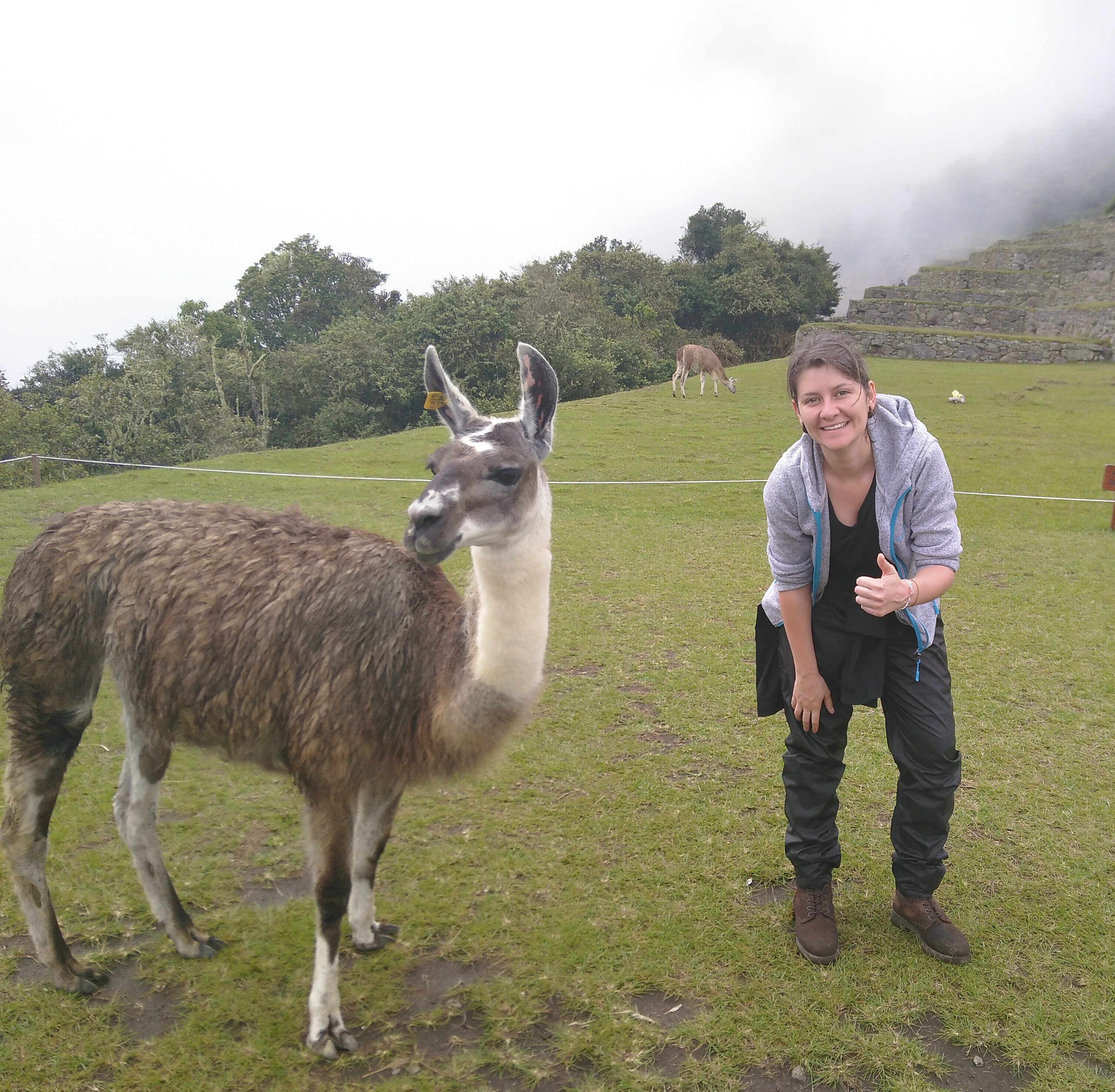 Mary Lifestyle Macchu Pichu Lama Pérou