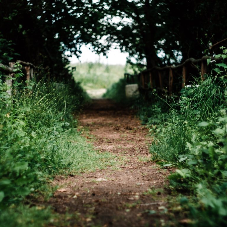 maria-teneva-rHlaMHAzfYM-unsplash