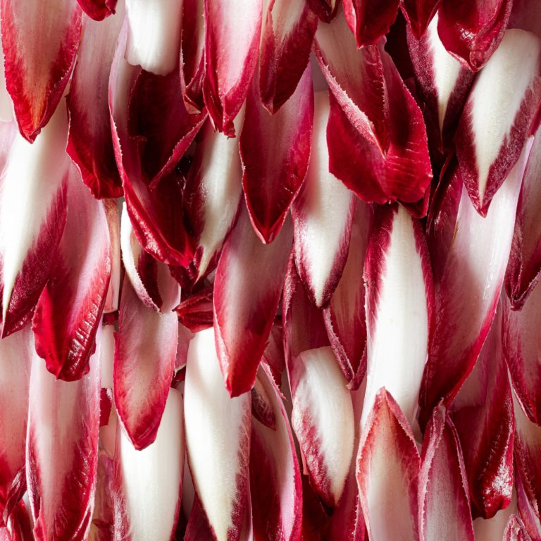 Naturopathie_endives_rouges